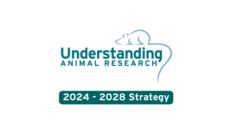 UAR strategy (2024-2028)