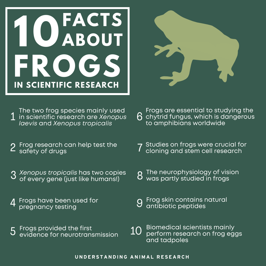 10 facts - frogs.png