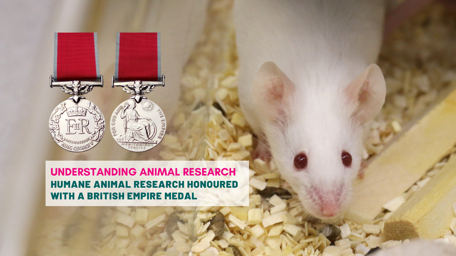 Humane Animal Research honoured with a British Empire Medal ::  Understanding Animal Research