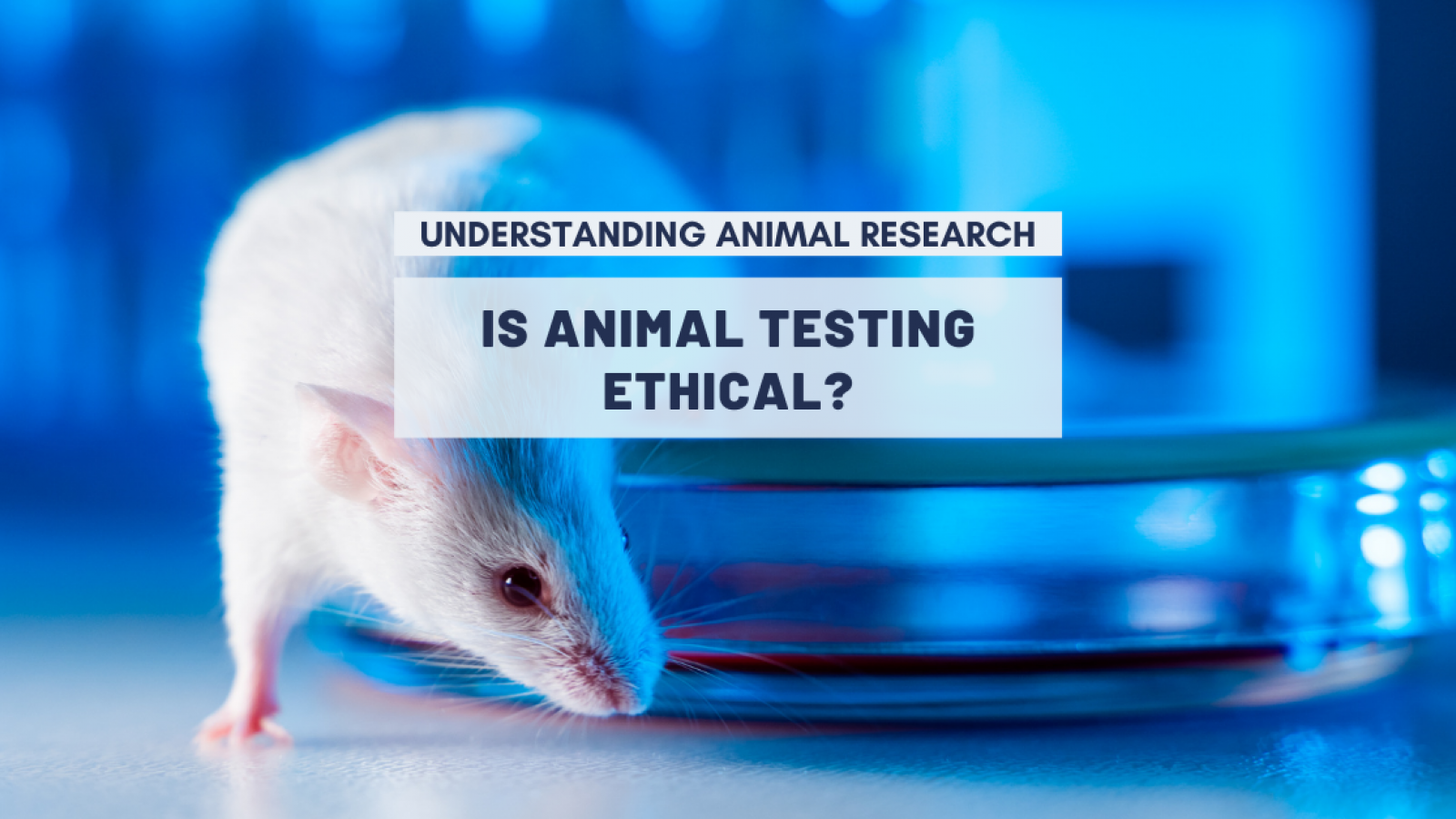is medical research on animals ethical
