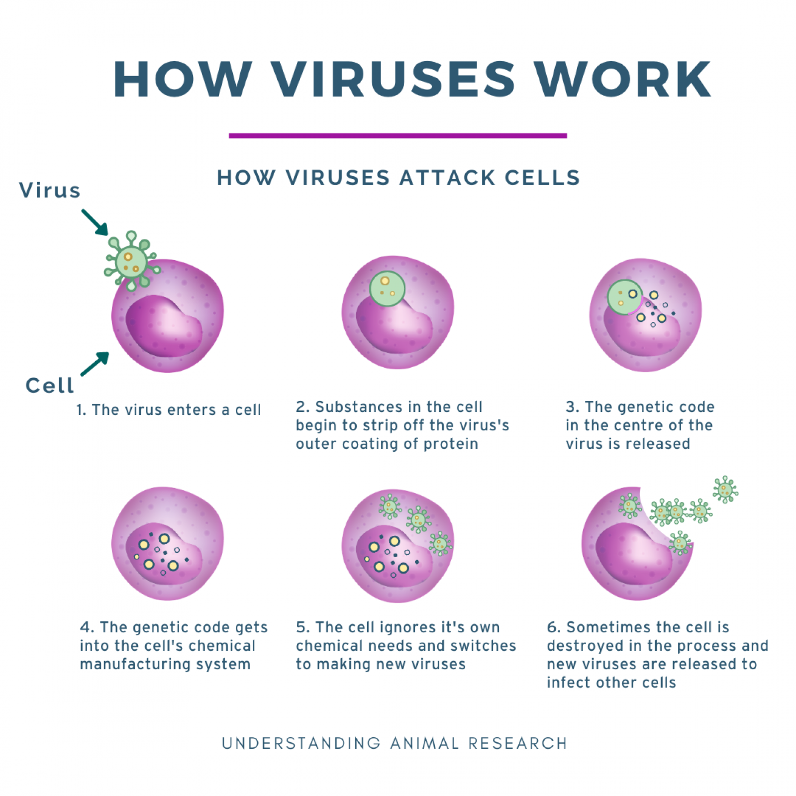 case study about viruses