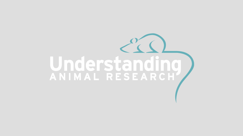 The ethics of animal research